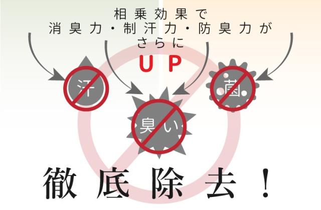 汗臭・多汗根源から断つ!体臭、汗臭ひと吹き即消!セットで使えば効果倍増