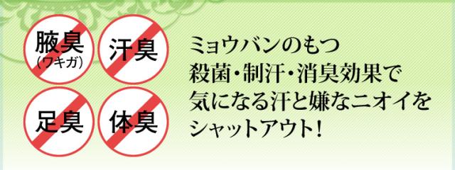 ミョウバンのもつ殺菌・制汗・消臭効果で気になる汗と嫌なニオイをシャットアウト!