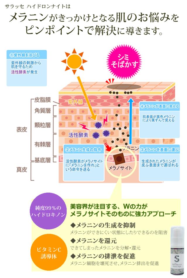 メラニンがきっかけの肌トラブルを解決へ