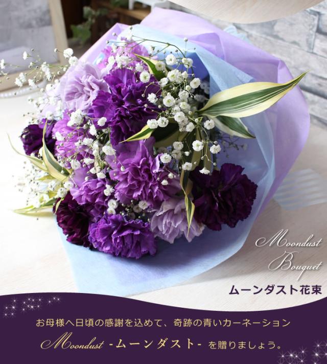 まだ間に合う 母の日 ギフト ムーンダスト アレンジ 花束 紫 カーネーション 送料無料 母の日 プレゼント 母の日 花の通販はau Pay マーケット アンのお花屋さん 商品ロットナンバー