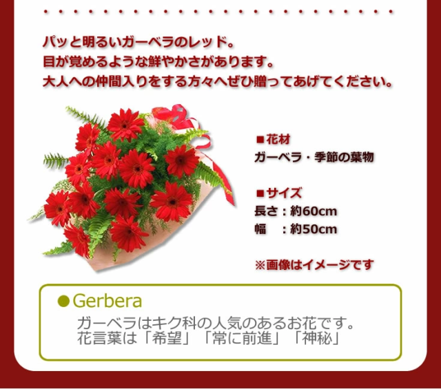 限定オリジナル色 誕生日 花 赤いガーベラの花束 女性 母の日 ギフト プレゼント 大量購入送料無料 花 ガーデン Diy工具 花 観葉植物 盆栽 Ivanegea Com