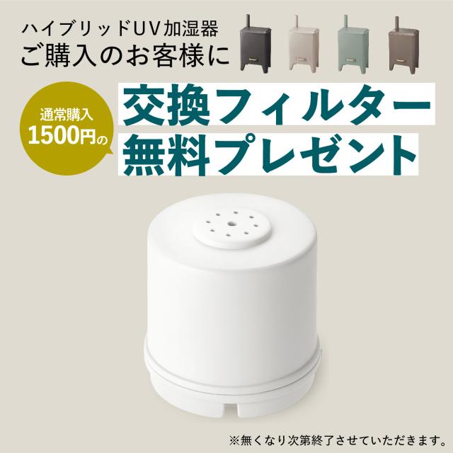 BRUNO ブルーノ 加湿器 超音波 加熱 アロマ加湿器 4L 超音波式