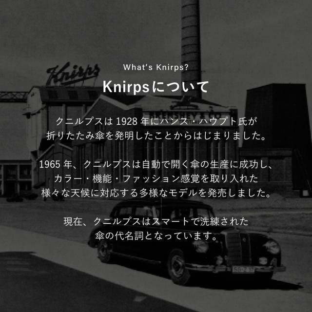 クニルプス Knirps 折りたたみ 傘 自動開閉 雨傘 メンズ レディース