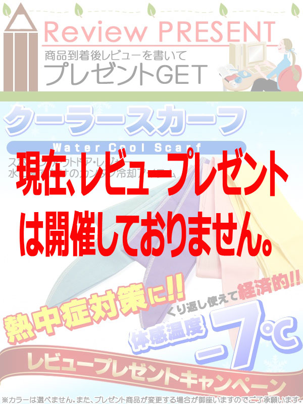 レビュープレゼント