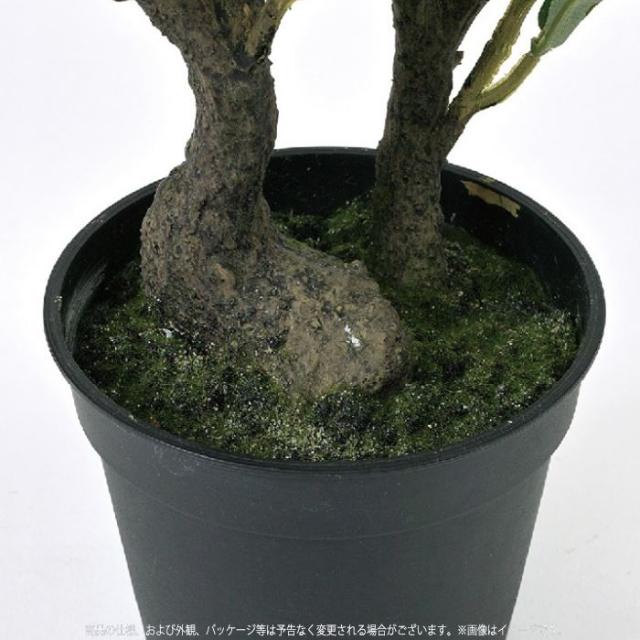 最先端 フェイクグリーン リアル フェイク観葉植物 フェイクグリーン オリーブ 60ｃｍ 鉢植え 観葉植物 グリーン オリーブの木 インテリア 新品 David Olkarny Com