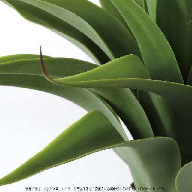 フェイクグリーン リアル フェイク観葉植物 フェイクグリーン アロエ 鉢植え 観葉植物 グリーン あろえ インテリア 装飾 水やり不要の通販はau Pay マーケット やるcan 商品ロットナンバー