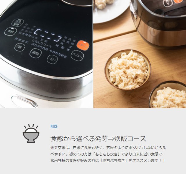 限​定​販​売​】 アナバス 発芽玄米炊飯器 ARM-500 yomamasburgers.com