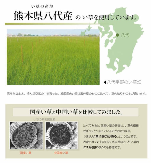大特価お得 北海道・沖縄・離島配送不可 代引不可 い草 上敷きカーペット ござ 六一間10畳 約462×370cm 熊本県八代産い草使用 畳の日焼けや汚れ防止の通販はau PAY マーケット - やるCAN|商品ロットナンバ 通販国産