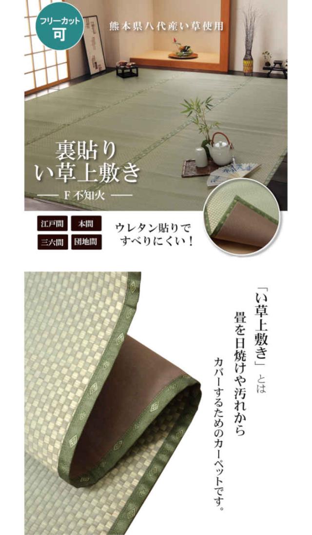 代引不可 北海道 沖縄 離島配送 い草 上敷きカーペット ござ フリーカット 三六間4 5畳 約273 273cm 熊本県八代産い草使用 畳の日 手数料安い Olsonesq Com