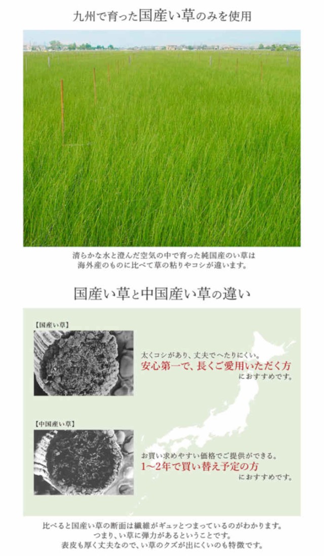 新作爆買い 北海道・沖縄・離島配送不可 約80×540cm 裏面不織布貼り 調湿 消臭 空気浄の通販はau PAY マーケット - やるCAN|商品ロットナンバ 代引不可 い草 廊下敷き 花ござ ござ ラグ カーペット マット 大人気
