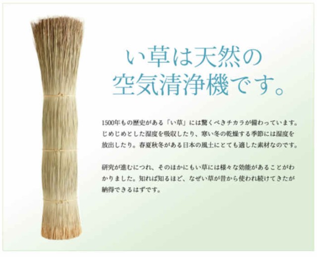 人気SALE豊富な 北海道・沖縄・離島配送不可 代引不可 い草 花ござ ござ ラグ カーペット マット 本間4.5畳 約286.5x286.5cm 調湿 消臭 空気浄化 抗菌防の通販はau PAY マーケット - やるCAN|商品ロットナンバー:4 通販超激安