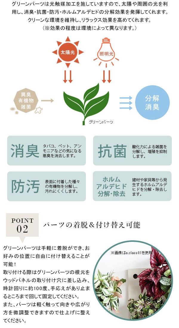 新作入荷 人工観葉植物 おしゃれ 観葉植物 光触媒 リアル 壁かけ 消臭 室内 壁飾り 壁掛け フェイクグリーン Botanical c.class 15の通販はau PAY マーケット - atomインテリア|商品ロットナンバー:247943047 正規店即納