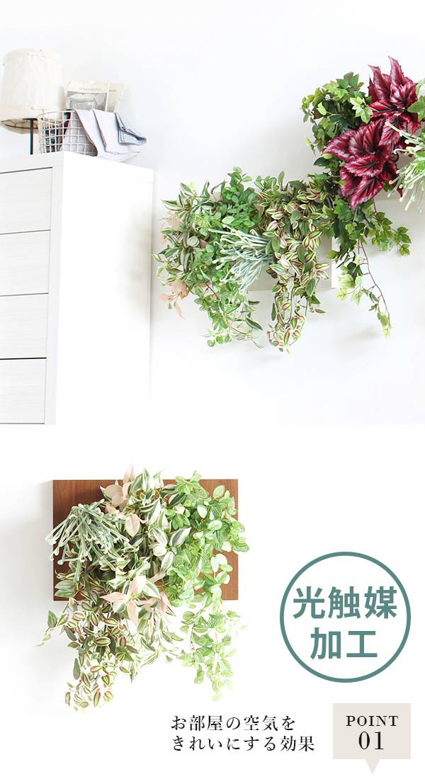 新作入荷 人工観葉植物 おしゃれ 観葉植物 光触媒 リアル 壁かけ 消臭 室内 壁飾り 壁掛け フェイクグリーン Botanical c.class 15の通販はau PAY マーケット - atomインテリア|商品ロットナンバー:247943047 正規店即納