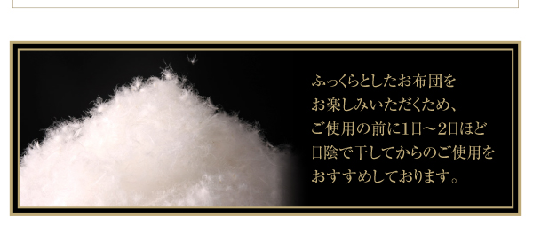 最新作人気SALE 日本製 防カビ 消臭 エクセルゴールドラベル 洗える フランス産 ダックダウン90% 8点 布団セット Lucia ルチア ベッドタイプ ダブル10点の通販はau PAY マーケット - e-バザール|商品ロットナン 爆買い好評