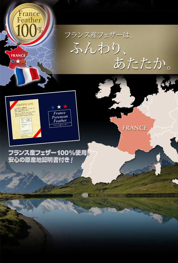 新作 フランス産フェザー100%羽根掛布団 キング 掛け布団 掛けふとん ダウンの通販はau PAY マーケット - e-バザール|商品ロットナンバー:218482138 キング 羽毛布団 羽毛ふとん 秋用 冬用 春用 在庫限定品