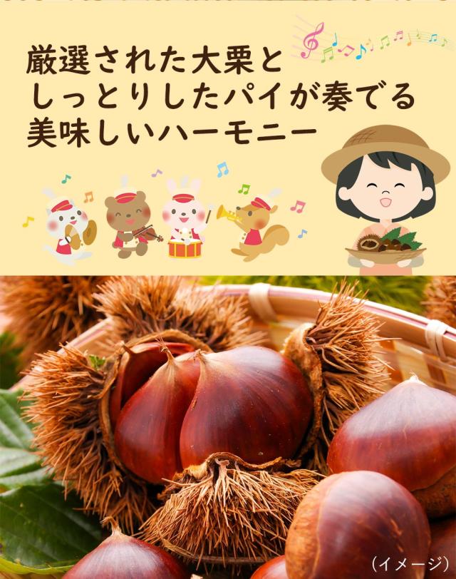 神戸マロン 6個入り