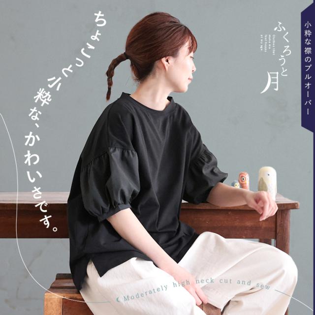 ふくろうと月 はいいろフクロウのブラウスみたいなTシャツ