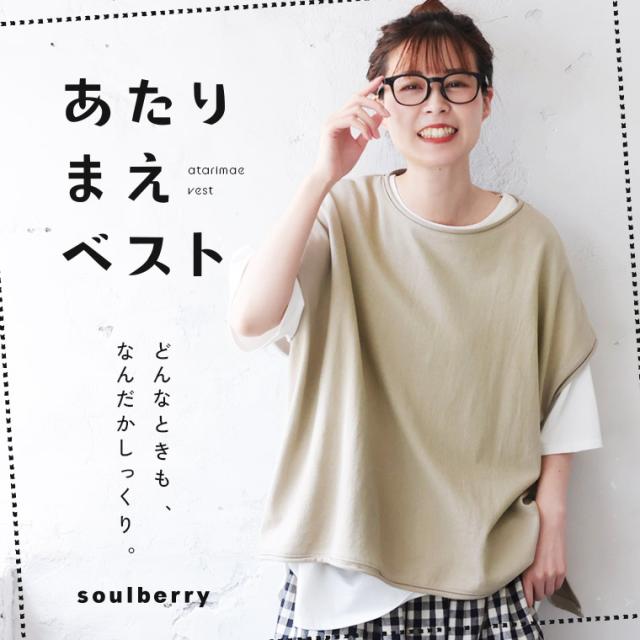 ついに再入荷！】Vネックのあたりまえベスト レディース プル