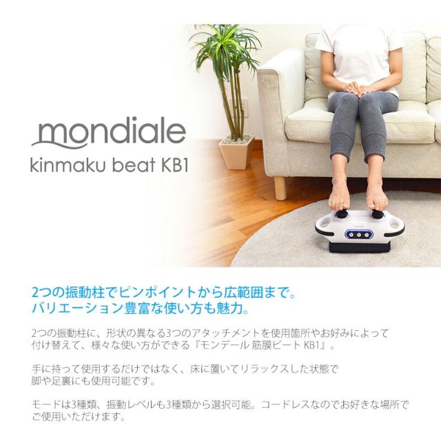 選ぶ景品付き】 ヴァルテックス モンデール 筋膜ビート KB1 (KB-1