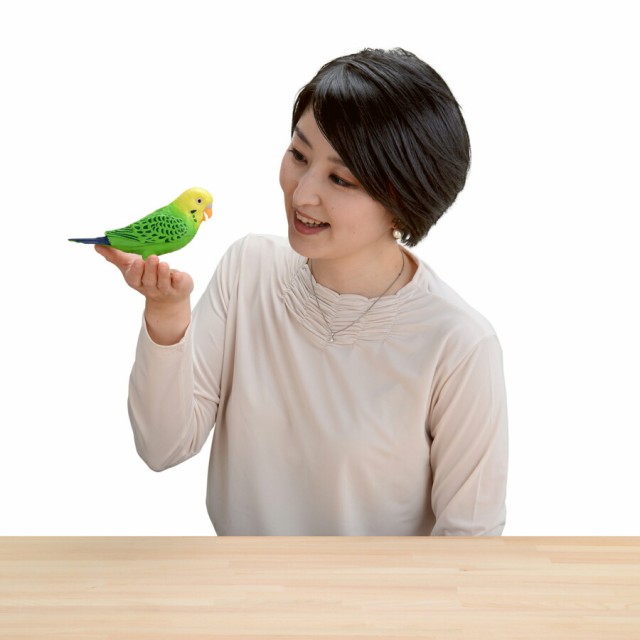 新品未使用 毎日おしゃべり 天才インコちゃん 音声認識人形 お話し人形 おしゃべりロボット 毎日お喋り しゃべる人形 天才 高価買取 Encontrarte Com Br