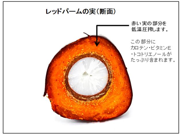 エキストラバージン レッドパームオイル