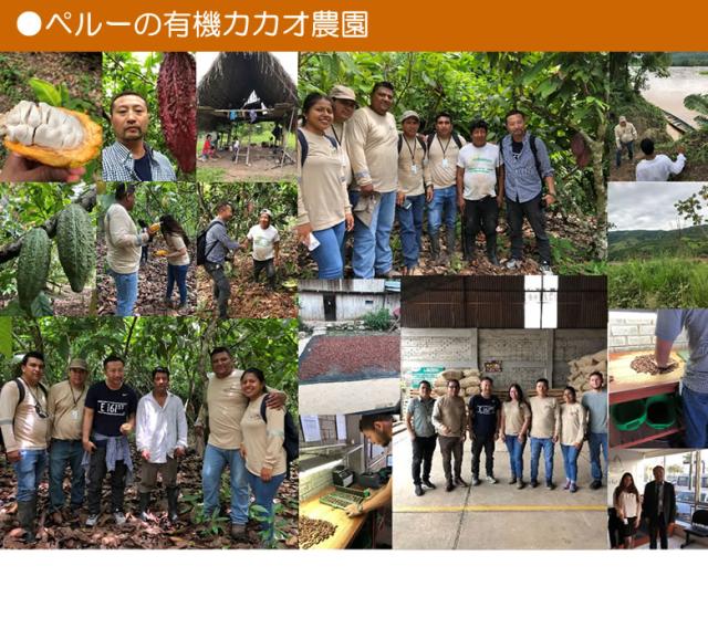 有機JASオーガニック ダークチョコレートチップ クーベルチュール カカオ70%