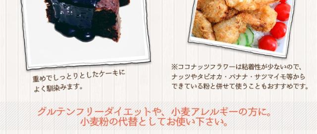 JASオーガニック認定 オーガニックココナッツフラワー（ココナッツ粉）280g