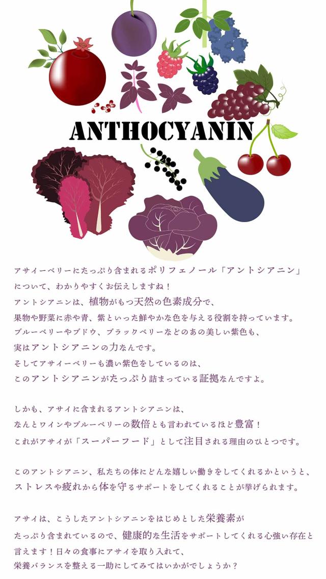 アサイベリードライパウダー100% 200g