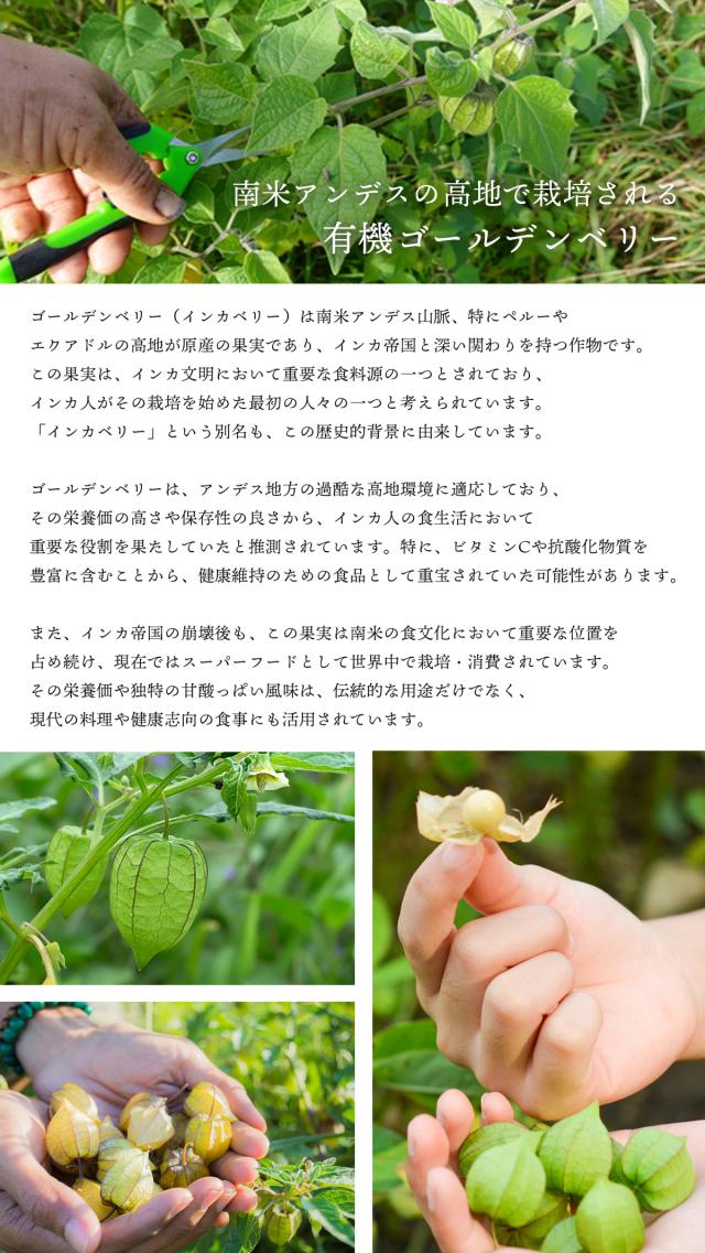 有機JASドライゴールデンベリー 300g ペルー産インカ  Organic Peruvian Incan Berry オーガニック食用ほおずき 
