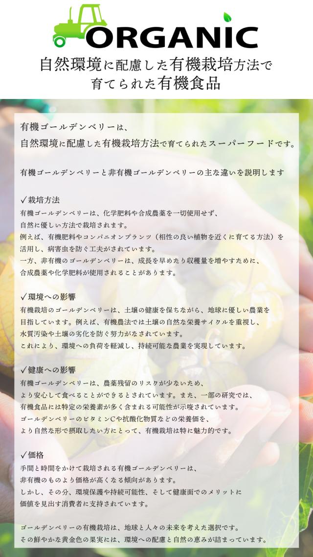 有機JASドライゴールデンベリー 300g ペルー産インカ  Organic Peruvian Incan Berry オーガニック食用ほおずき 