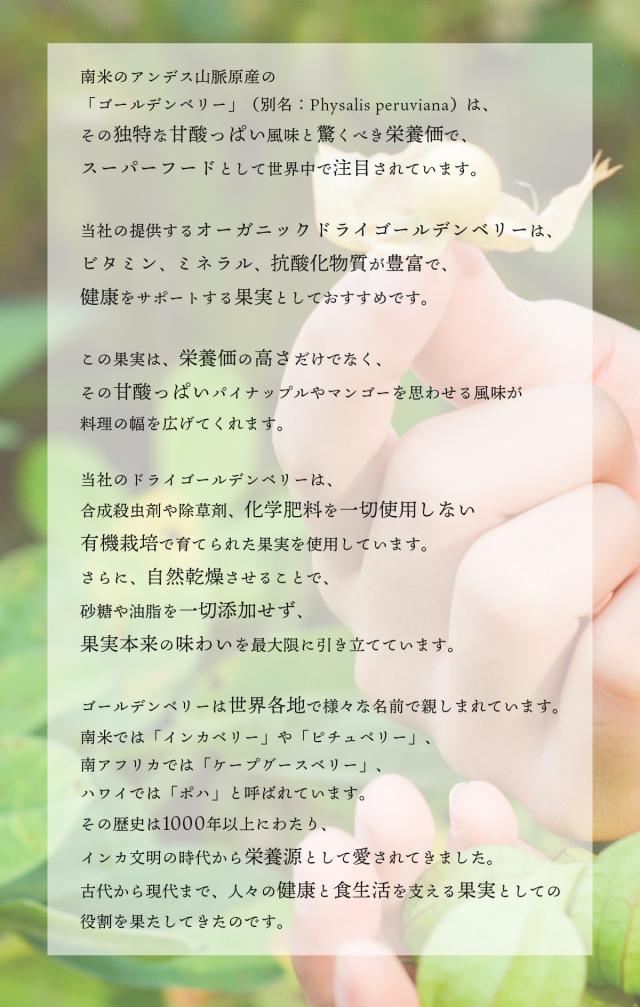 有機JASドライゴールデンベリー 300g ペルー産インカ  Organic Peruvian Incan Berry オーガニック食用ほおずき 