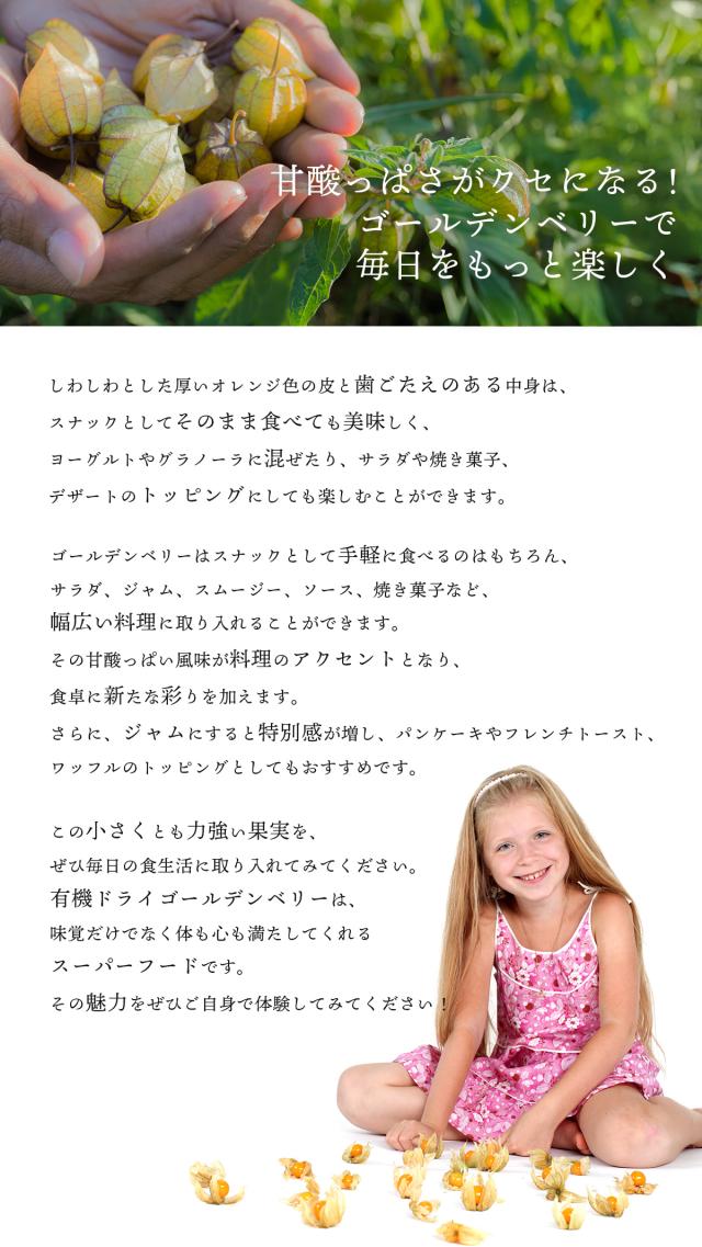 有機JASドライゴールデンベリー 300g ペルー産インカ  Organic Peruvian Incan Berry オーガニック食用ほおずき 