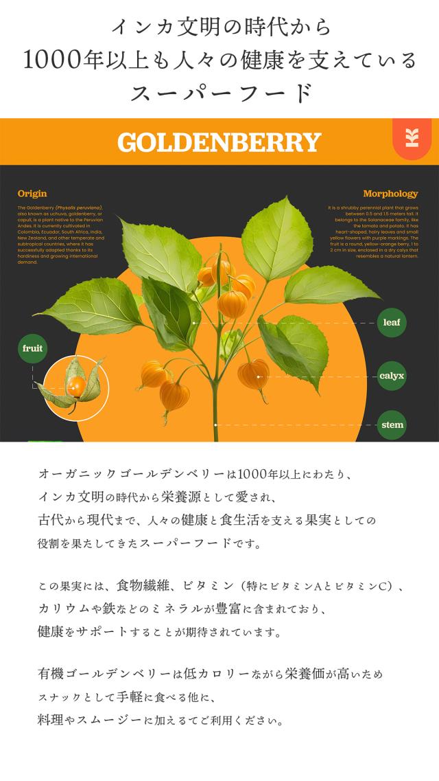 有機JASドライゴールデンベリー 300g ペルー産インカ  Organic Peruvian Incan Berry オーガニック食用ほおずき 