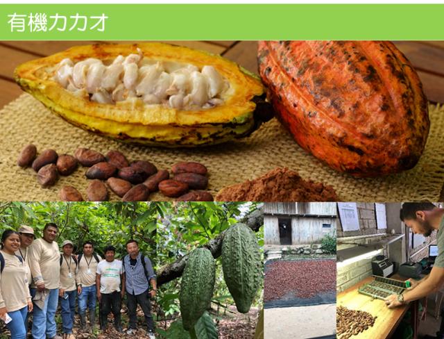 有機 JAS オーガニック アガベチョコレート アガベ アガベチョコ クーベルチュール 低糖質”