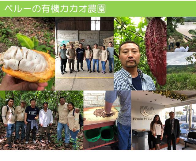 有機 JAS オーガニック アガベチョコレート アガベ アガベチョコ クーベルチュール 低糖質”