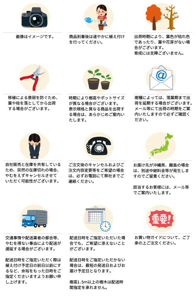 ご注文の前に必ずご確認ください