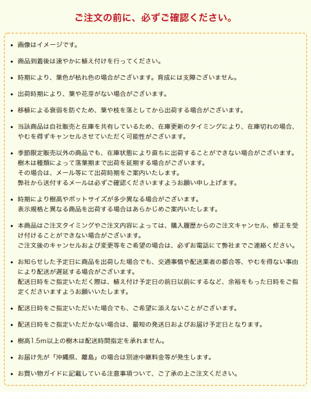 在庫あ新作 ベニバナトキワマンサク 生垣 目隠し 常盤万作の通販はau PAY マーケット - 相馬グリーン|商品ロットナンバー:252067045 (赤葉) 樹高50〜60cm前後 10本セット 常緑 庭木 花木 総合2位