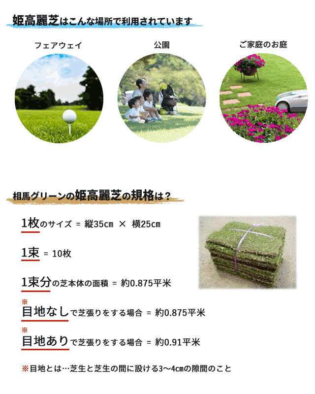格安即決 姫高麗芝 10束セット 芝生 グランドカバー 高麗芝の選抜種 細葉 枚数限定 Carlavista Com 格安即決 姫高麗芝 10束セット 芝生 グランドカバー 高麗芝の選抜種 細葉 枚数限定 Carlavista Com