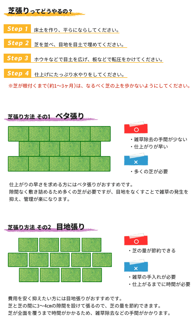 格安即決 姫高麗芝 10束セット 芝生 グランドカバー 高麗芝の選抜種 細葉 枚数限定 Carlavista Com