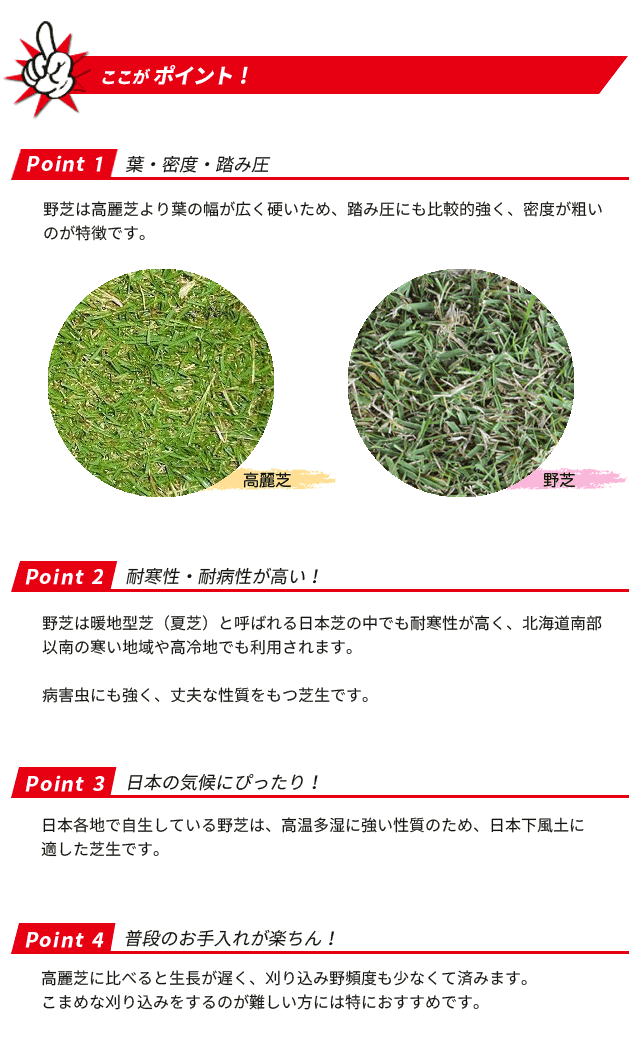 野芝（ノシバ）のポイント