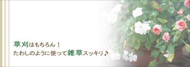 お手軽雑草セット ガーデニングや園芸の雑草の草刈りに草抜き鎌 雑草タワシ S の通販はau Wowma ワウマ キレイスポット 商品ロットナンバー