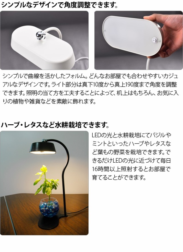 予約販売品 Motom モトム デスクスタンドライト 室内で水耕栽培により植物育成ができる Ledのインテリア照明 国内正規品 限定 Www Iacymperu Org