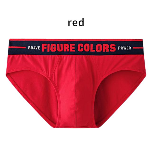 【送料無料】綿95％ ウエスト太ゴムローライズブリーフショーツ