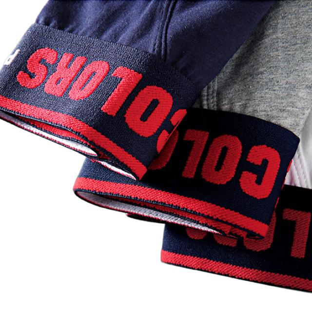 【送料無料】綿95％ ウエスト太ゴムローライズブリーフショーツ