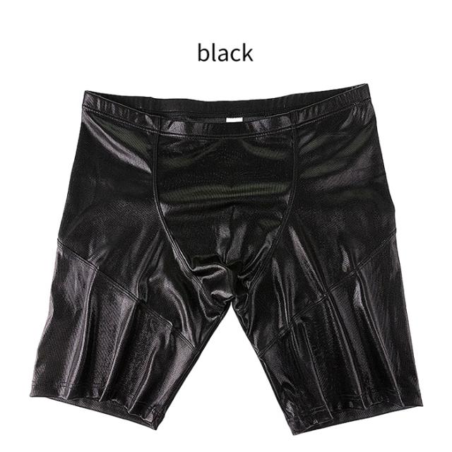 圧倒的存在感！視線釘付けキラキラ輝く個性派ロングボクサー