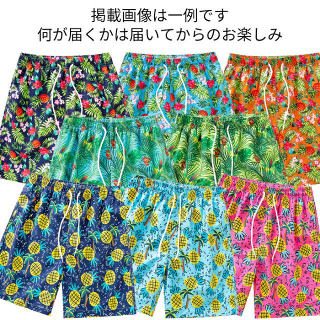 【送料無料】何が届くかお楽しみ メンズサーフパンツ福袋