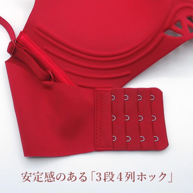 【送料無料】 楽盛り 美胸モールドカップブラジャー