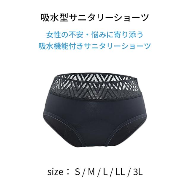 多い日も安心 吸収型サニタリーショーツ