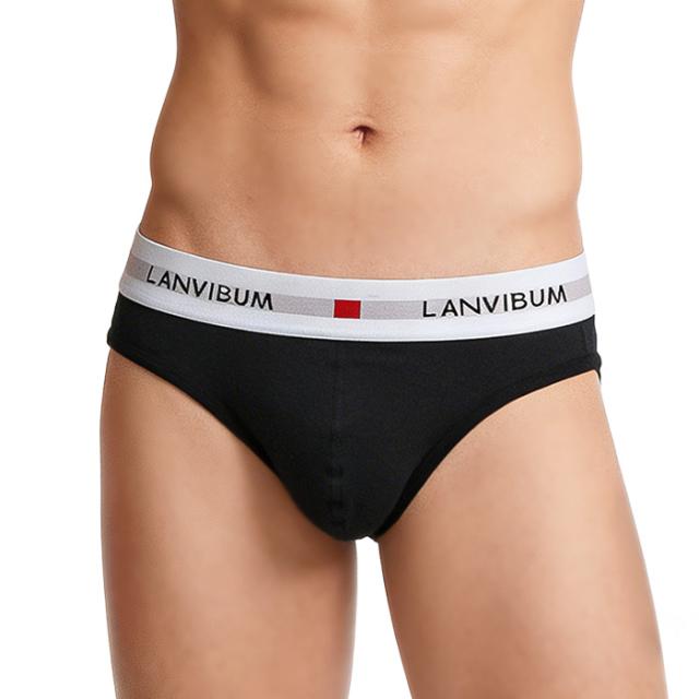 【送料無料】綿混素材で快適 シンプルメンズブリーフパンツ