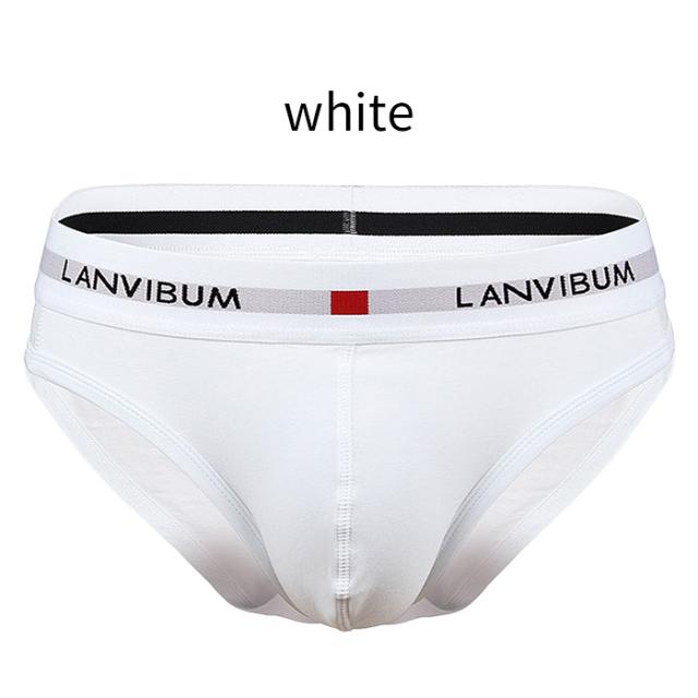 【送料無料】綿混素材で快適 シンプルメンズブリーフパンツ
